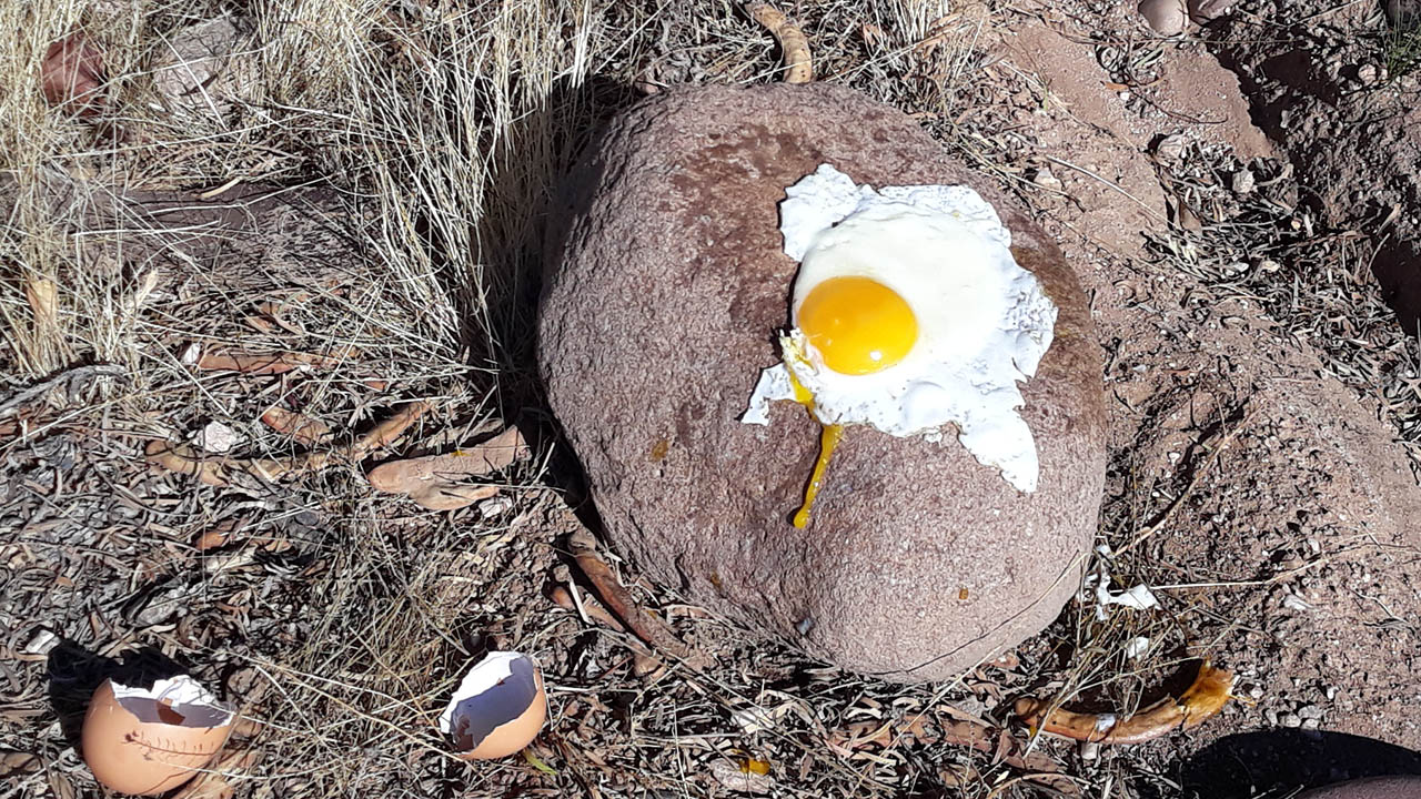 Frying an egg in the Arizona heat